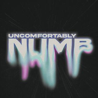 Uncomfortably Numb (Remix) ft. XYAN lyrics | Boomplay Music