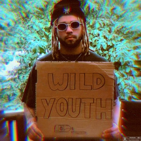 The Wild Youth | Boomplay Music