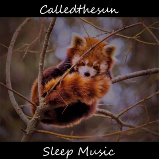 Sleep Music