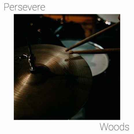 Persevere | Boomplay Music