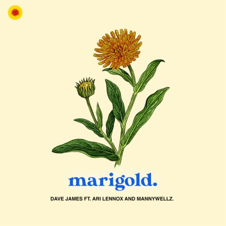 Marigold ft. Ari Lennox & Mannywellz