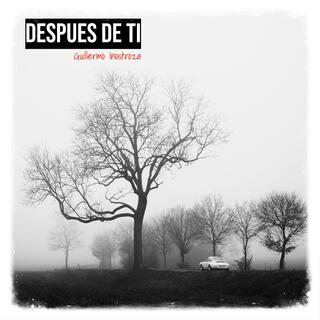 Después de ti (2014)