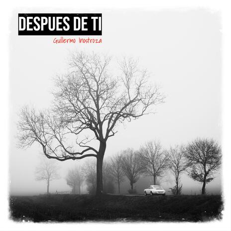 Después de ti (2014) | Boomplay Music