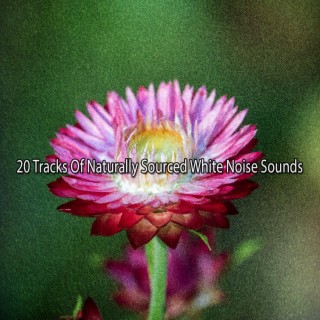 20 Pistes de bruits blancs d'origine naturelle (2022 Bruit de l'esprit Records)