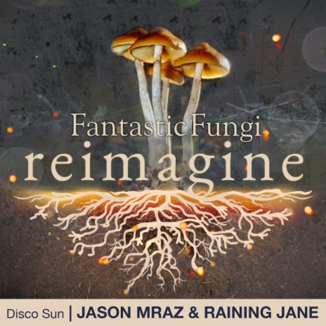 Disco Sun (Fantastic Fungi: Reimagine) ft. Raining Jane | Boomplay Music