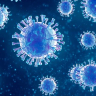 CORONAVIRUS (Sped Up)