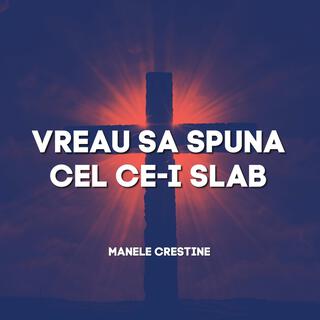 Vreau Sa Spuna Cel Ce-I Slab, Manele Crestine lyrics | Boomplay Music