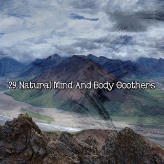 29 Sucettes naturelles pour l'esprit et le corps (2022 This Way Is Diagonal Records)