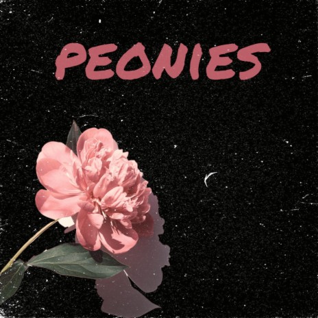 Peonies | Boomplay Music