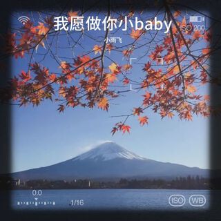 我愿做你小baby lyrics | Boomplay Music