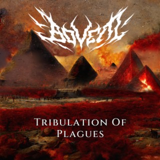 Tribulation Of Plagues lyrics | Boomplay Music