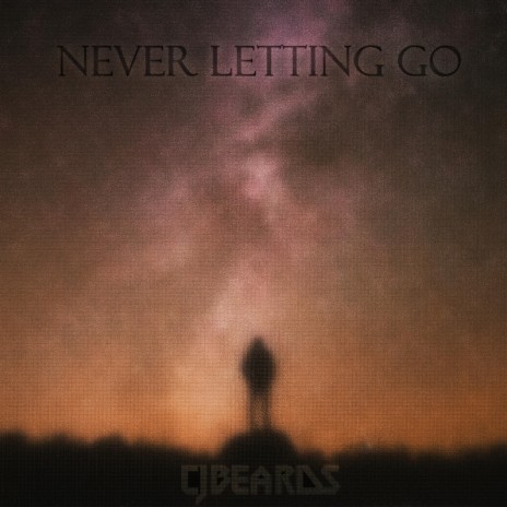 Never Letting Go | Boomplay Music