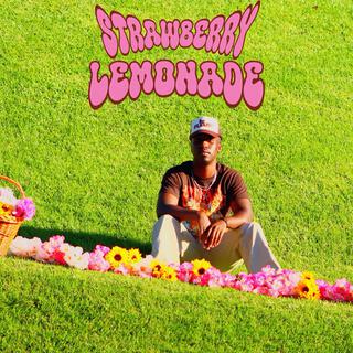 STRAWBERRY LEMONADE lyrics | Boomplay Music