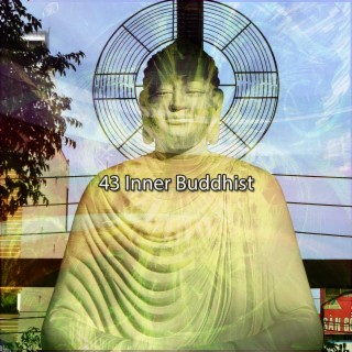 43 Bouddhiste intérieur (2022 N'arrêtez pas mon esprit Studios)