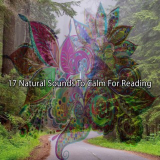 17 Sons naturels pour calmer la lecture (2022 Registres naturellement sages)