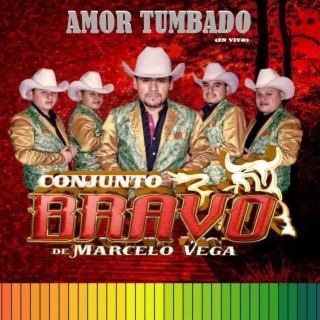 conjunto bravo de marcelo vega