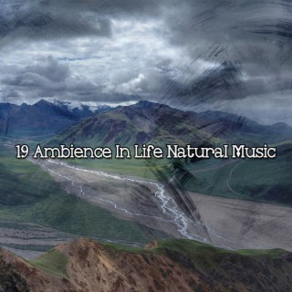 19 Ambiance dans la vie Musique naturelle (2022 This Way Is Diagonal Records)