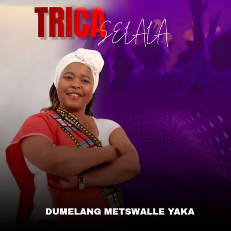 Dumelang Metswalle Yaka | Boomplay Music