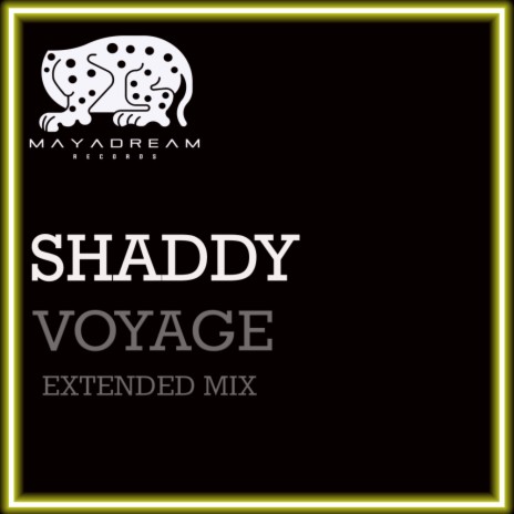 Voyage (Extended Mix) | Boomplay Music