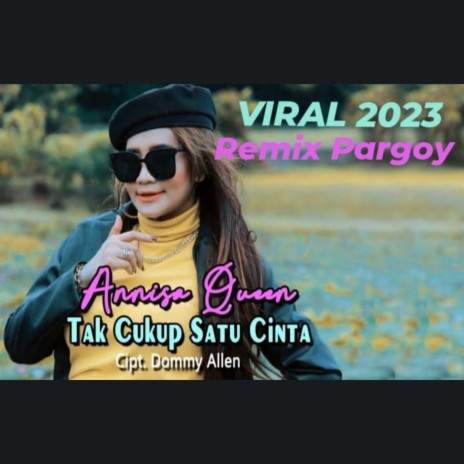 Tak Cukup Satu Cinta (Remix Pargoy Viral 2023)