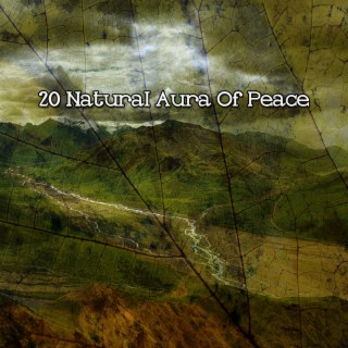 20 Aura naturelle de paix (2022 Inquiet pour rien Records)