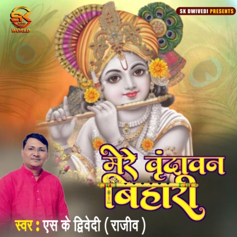 Mere Vrindavan Bihari | Boomplay Music