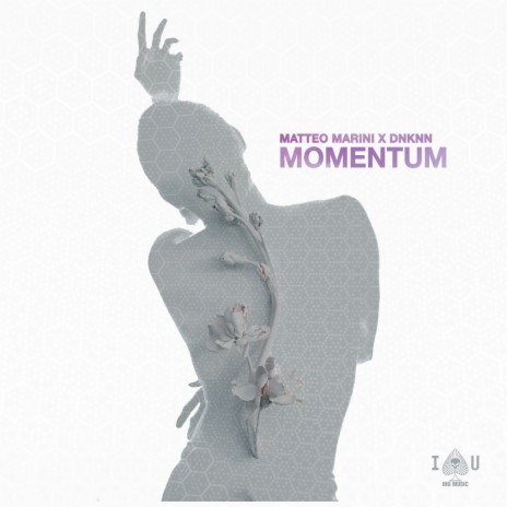 Momentum (Extended Mix) ft. DNKNN | Boomplay Music