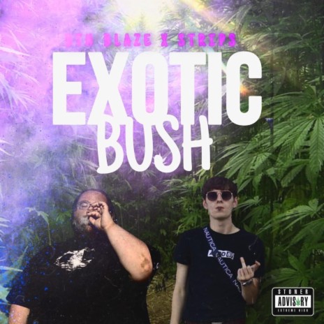 Exotic Bush ft. Bth Blaze