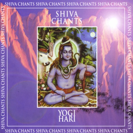 Om Shiva Omkara | Boomplay Music