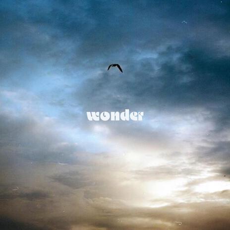 wonder | Boomplay Music