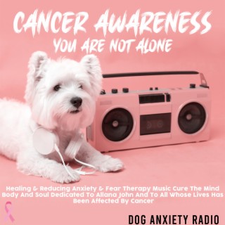 Cancer Awareness: You Are Not Alone