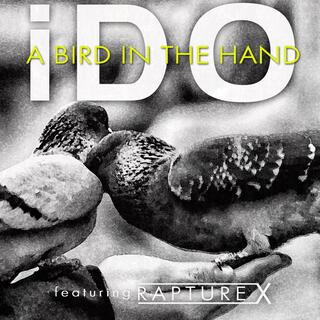 A Bird In The Hand