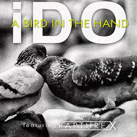 A Bird In The Hand ft. Rapture X | Boomplay Music