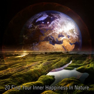 20 Trouvez votre bonheur intérieur dans la nature (2022 Records de la nature illimités)
