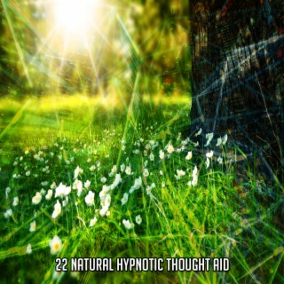 22 Aide à la pensée hypnotique naturelle (2022 This Way Is Diagonal Records)