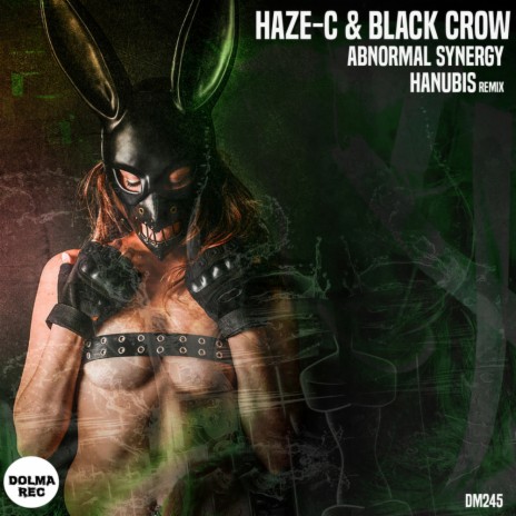 Abnormal synergy (Hanubis Remix) ft. BLACK CROW | Boomplay Music