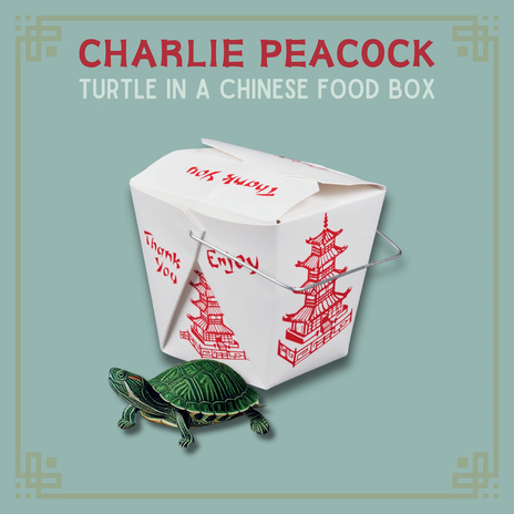 Turtle In A Chinese Food Box ft. Charlie McCoy | Boomplay Music