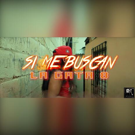 Si Me Buscan | Boomplay Music