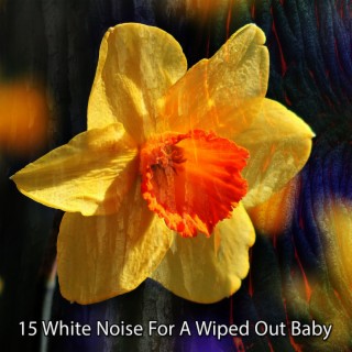 15 Bruit blanc pour un bébé anéanti (2022 Inquiet pour rien Records)