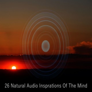 26 Inspirations audio naturelles de l'esprit (2022 Inquiet pour rien Records)