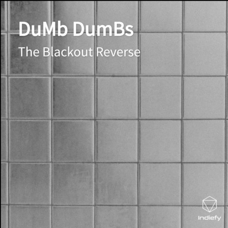 DuMb DumBs | Boomplay Music