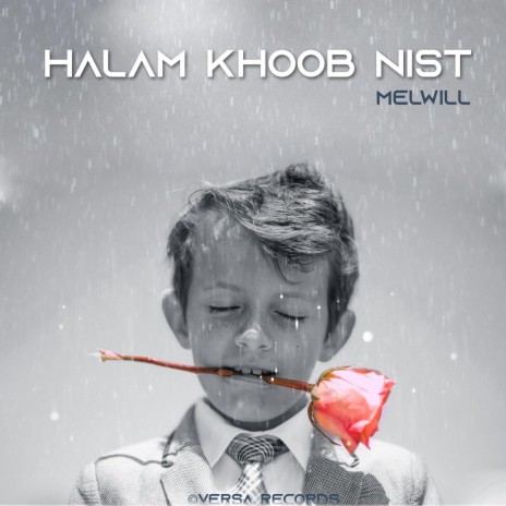 Halam Khoob Nist