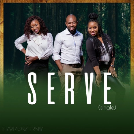 Serve | Boomplay Music