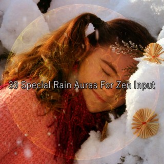 39 Auras de pluie spéciales pour entrée Zen (2022 Meilleurs disques du ciel)