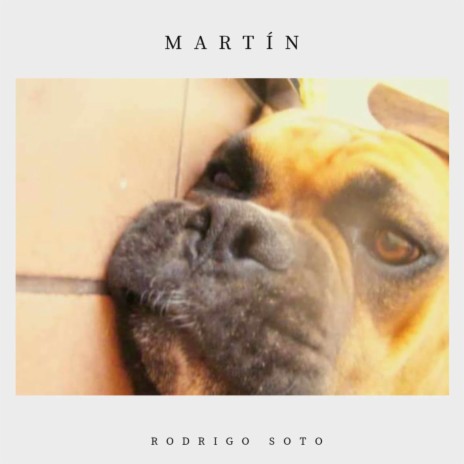 Martín | Boomplay Music