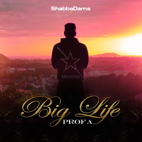 Big Life | Boomplay Music