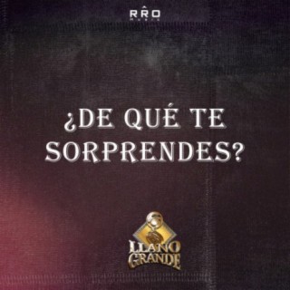 ¿De Qué Te Sorprendes?