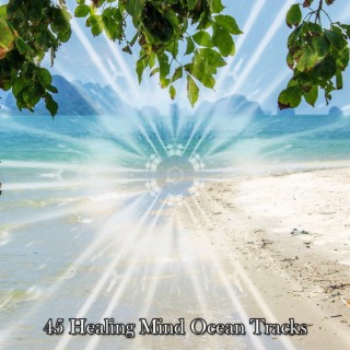 45 Healing Mind Ocean Pistes (2022 This Way Is Diagonal Records)