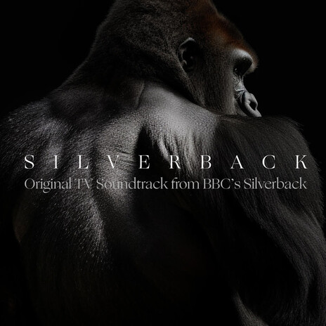 Silverback (from BBC's Silverback) ft. GUNS | Boomplay Music