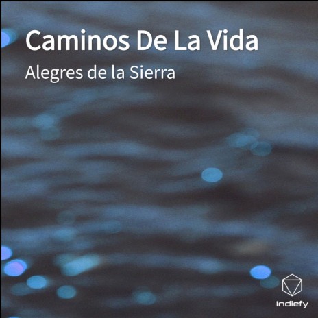 Caminos De La Vida | Boomplay Music